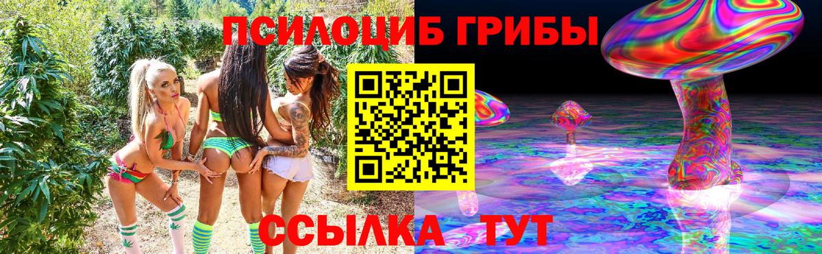 Псилоцибиновые грибы мицелий Мичуринск