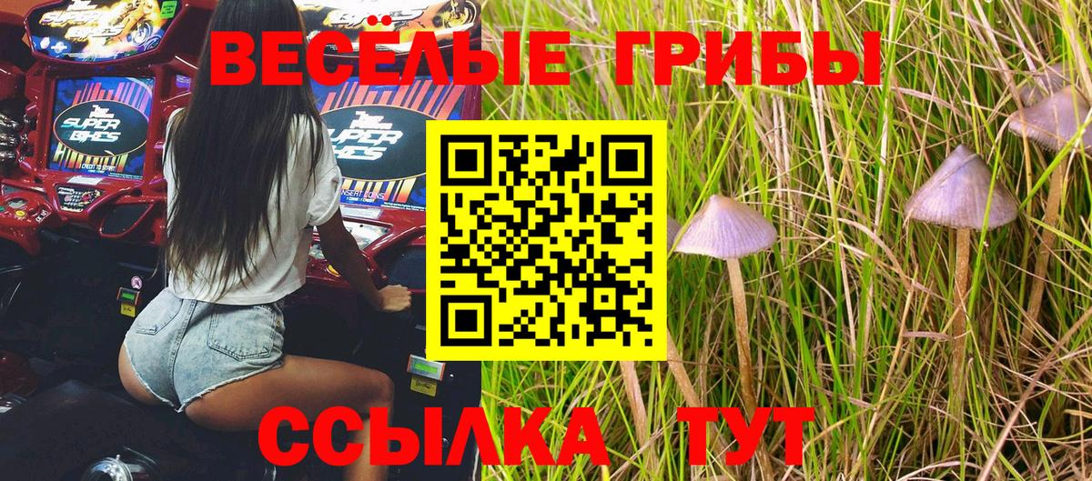 цены   Псилоцибиновые грибы Psilocybe  Вход с VPN  Мичуринск  Галлюциногенные грибы GOLDEN TEACHER 